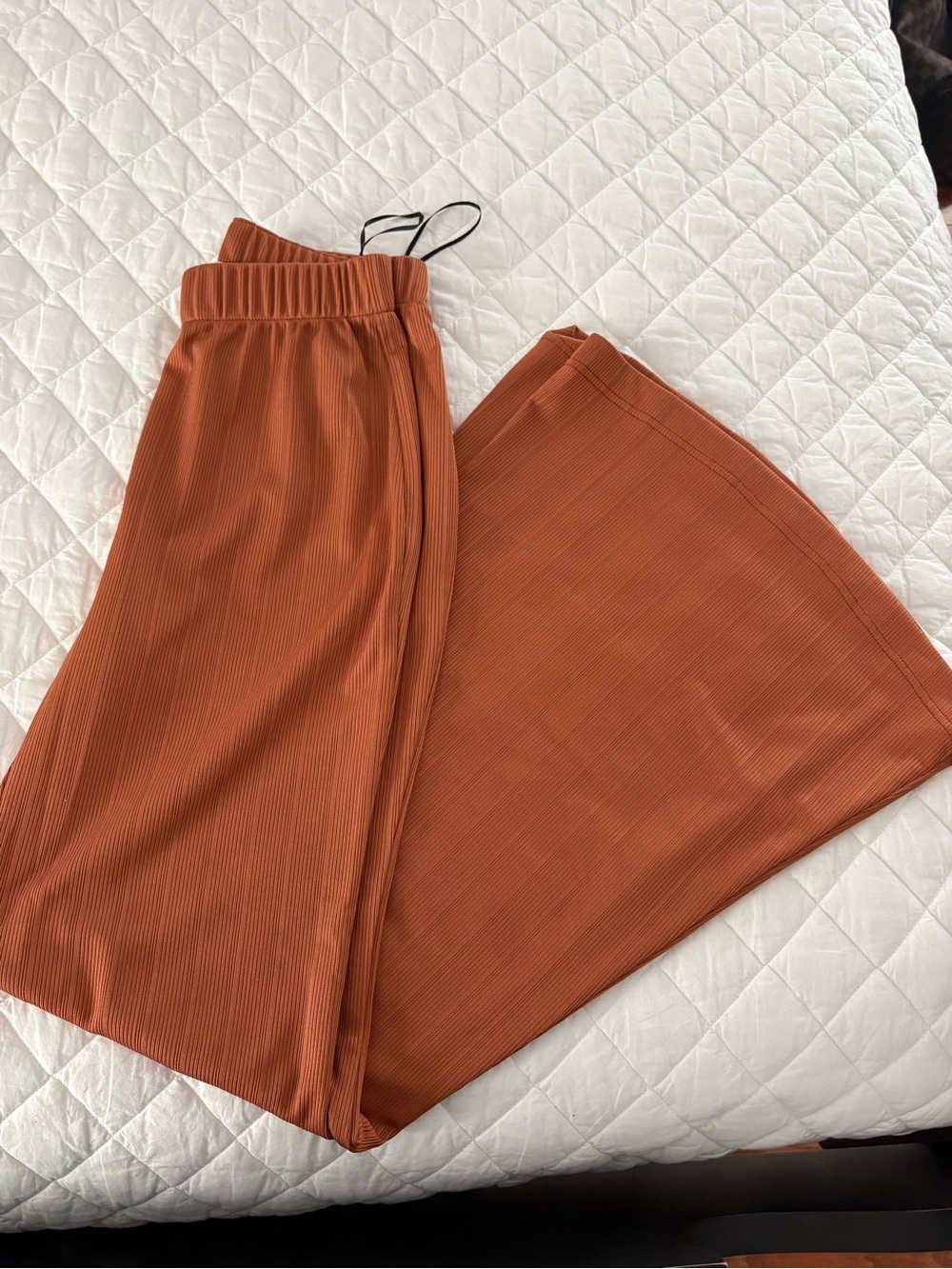 Knitt Pants in Burnt Orange